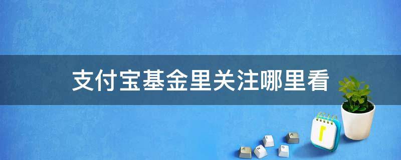 支付宝基金里关注哪里看（支付宝怎么看关注的基金）