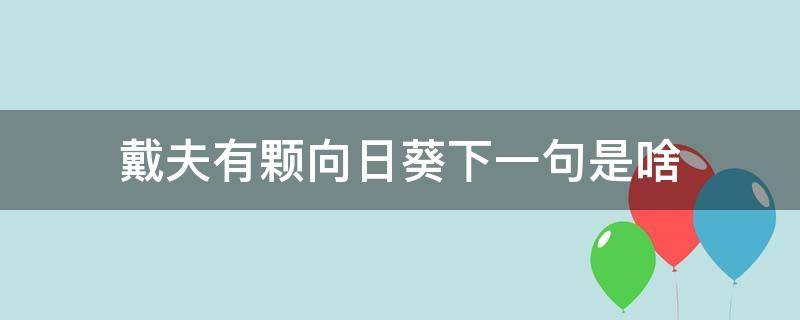 戴夫有颗向日葵下一句是啥（戴夫有颗向日葵下一句是什么）