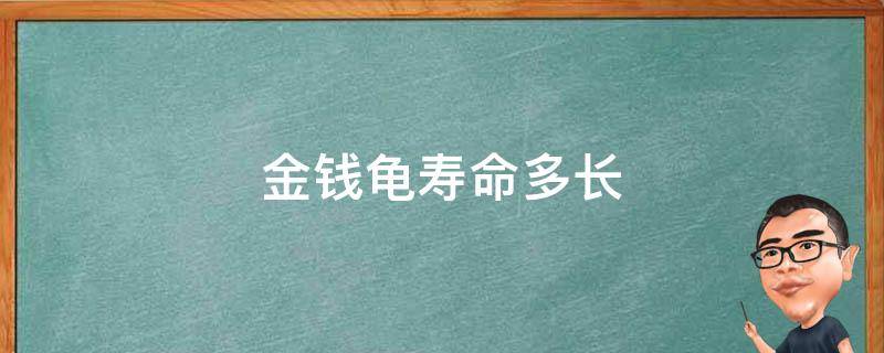 金钱龟寿命多长 金钱龟平均寿命