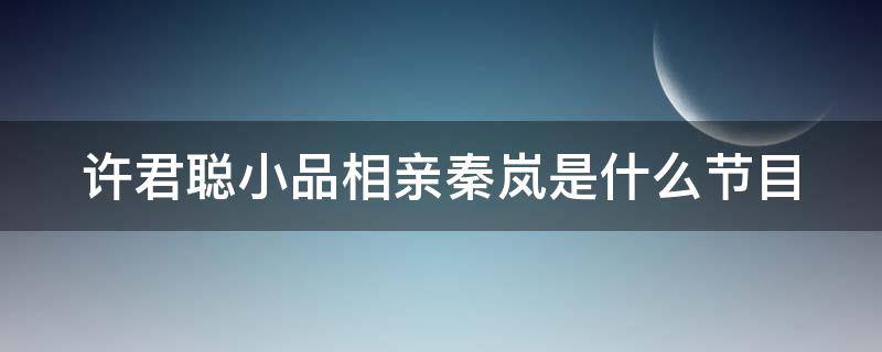 许君聪小品相亲秦岚是什么节目 许君聪小品相亲秦岚是什么节目出现的