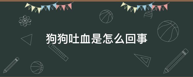 狗狗吐血是怎么回事（狗狗吐血是怎么回事大小便失禁）