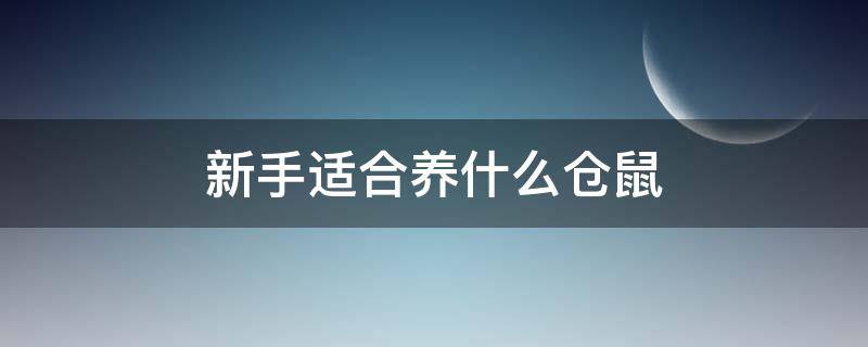 新手适合养什么仓鼠 新手适合养什么仓鼠排名