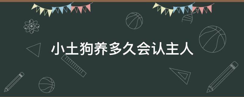 小土狗养多久会认主人 小土狗养多久长大