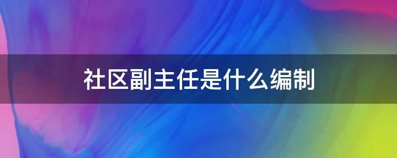 社区副主任是什么编制 社区主任助理是什么编制