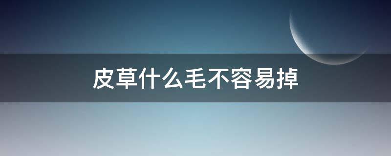 皮草什么毛不容易掉（什么毛的皮草不爱掉毛）