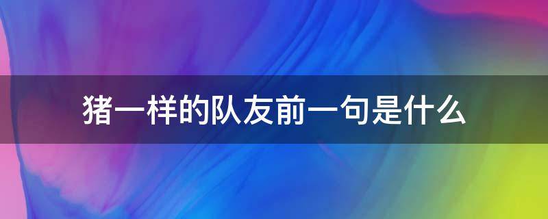 猪一样的队友前一句是什么 猪一样的队友前一句是什么意思