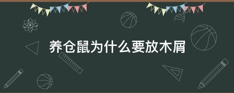 养仓鼠为什么要放木屑 养仓鼠一定要放木屑吗