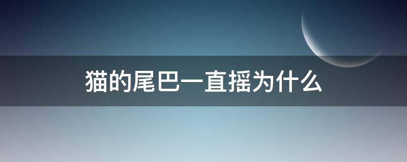 猫的尾巴一直摇为什么（猫为什么会一直摇尾巴）