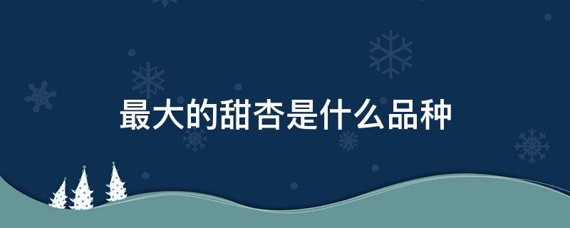 最大的甜杏是什么品种 特别甜的杏是什么品种