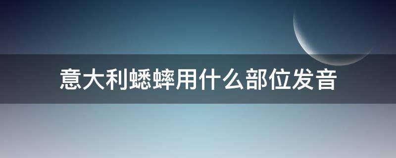 意大利蟋蟀用什么部位发音 意大利蟋蟀的发声器官和发声方法