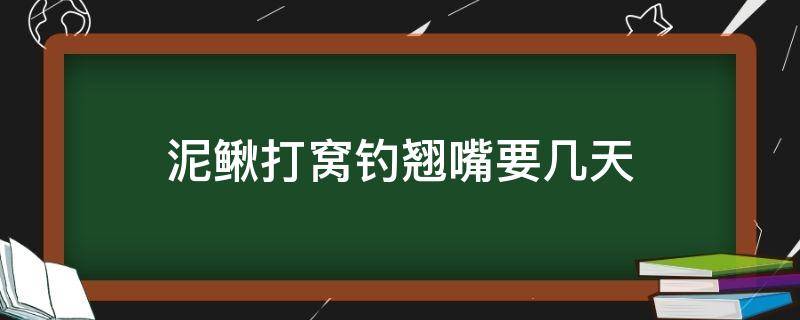 泥鳅打窝钓翘嘴要几天（泥鳅钓翘嘴需要打窝吗）