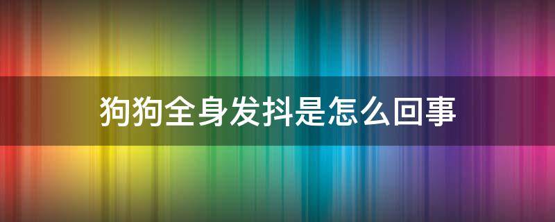 狗狗全身发抖是怎么回事（狗狗全身发抖是怎么回事第二天就不见了）