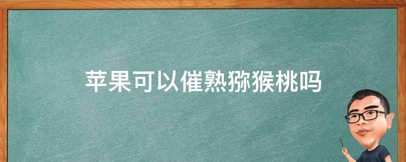 苹果可以催熟猕猴桃吗 苹果熟苹果真的可以催熟猕猴桃吗