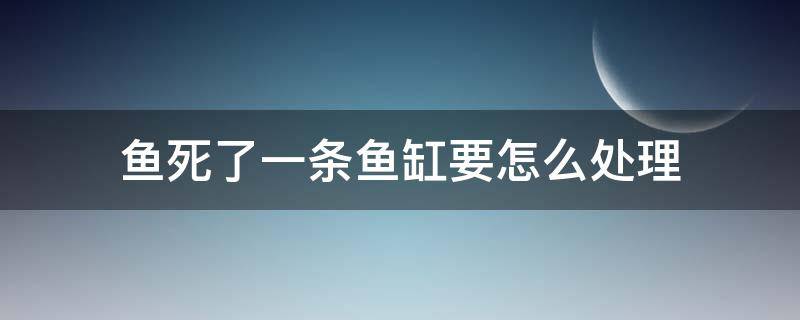 鱼死了一条鱼缸要怎么处理 鱼缸的鱼死了一条,是否全换水