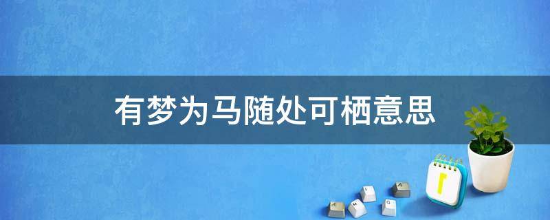 有梦为马随处可栖意思（以梦为马随处可栖下一句是什么）