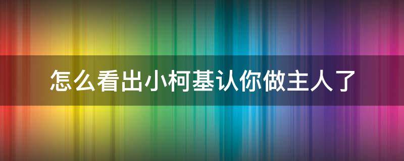 怎么看出小柯基认你做主人了（柯基是不是只认一个主人）