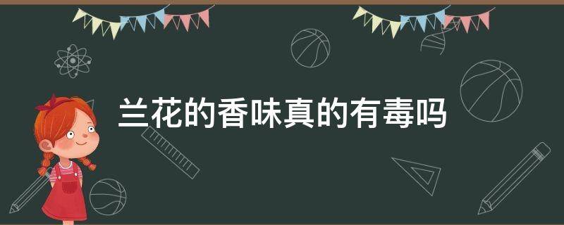 兰花的香味真的有毒吗（兰花的味道对人有害吗?）