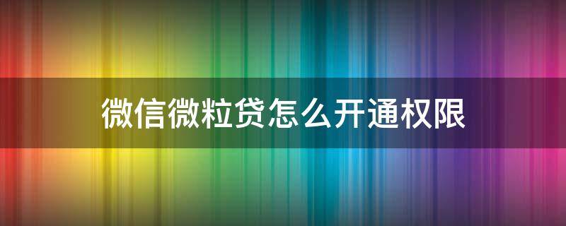 微信微粒贷怎么开通权限（微信怎么才有微粒贷权限）