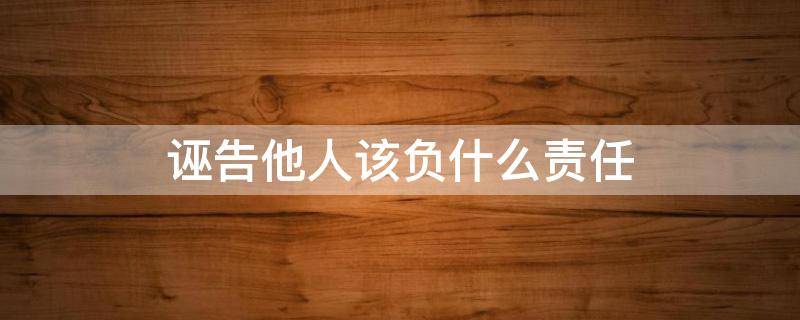 诬告他人该负什么责任（民事诉讼诬告他人该负什么责任）