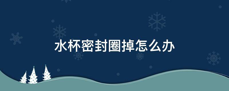 水杯密封圈掉怎么办 水杯密封圈掉下来怎么安上去