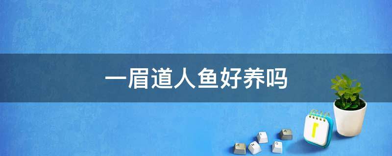 一眉道人鱼好养吗（一眉道人鱼好养吗水温多少）