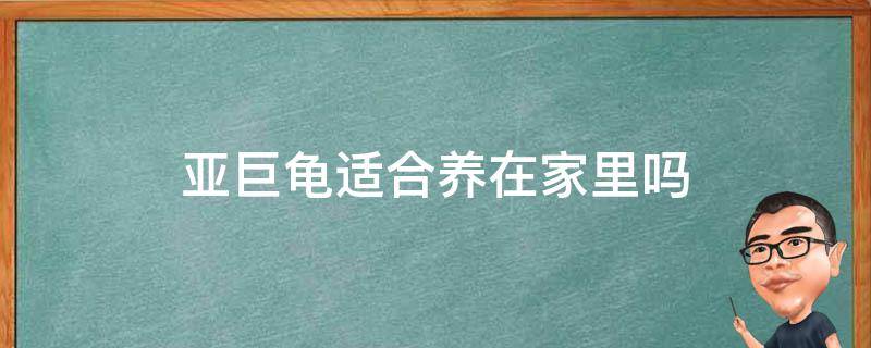 亚巨龟适合养在家里吗 家里养亚巨龟适合养在家里吗