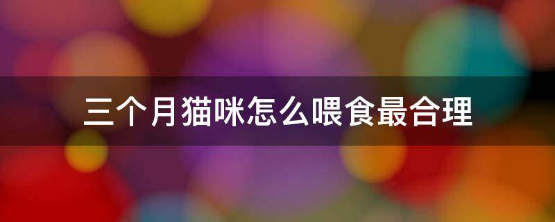 三个月猫咪怎么喂食最合理 三个月猫咪怎么喂食量怎么控制