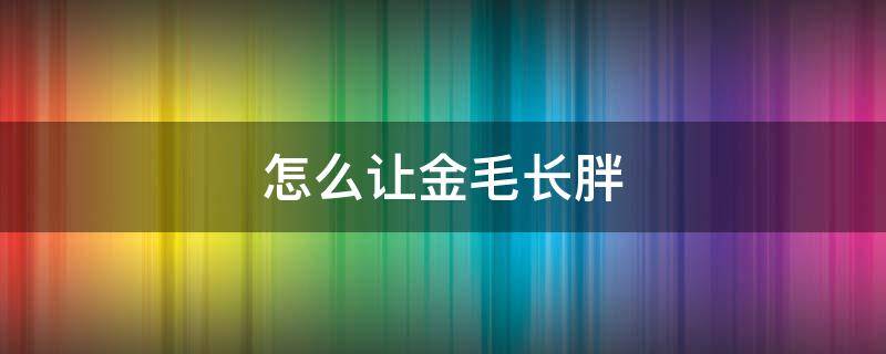 怎么让金毛长胖（怎么把金毛养的胖胖的）