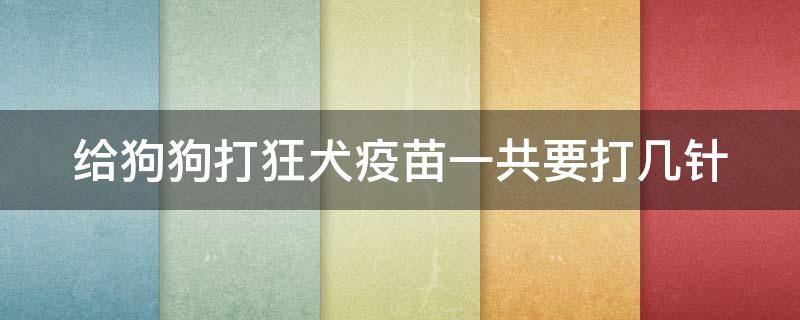 给狗狗打狂犬疫苗一共要打几针（给狗狗打狂犬疫苗一共要打几针呢）