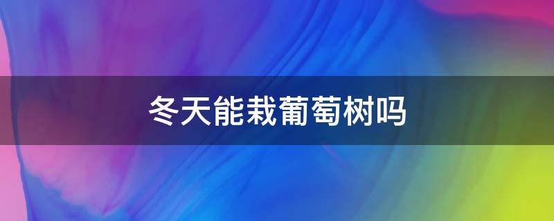 冬天能栽葡萄树吗 冬天栽葡萄树容易成活吗