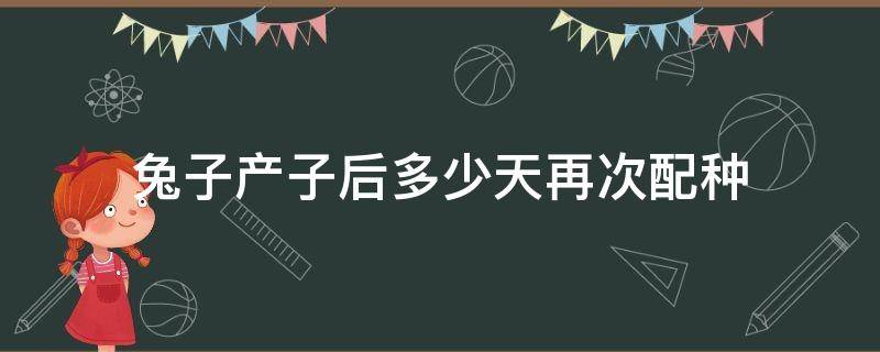 兔子产子后多少天再次配种（兔子产子后多少天再次配种最好）