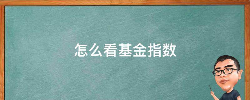 怎么看基金指数（怎么看基金指数多少点）