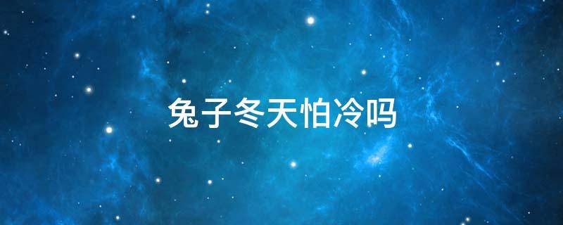 兔子冬天怕冷吗 兔子冬天怕不怕冷?