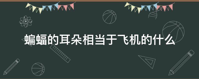 蝙蝠的耳朵相当于飞机的什么（蝙蝠的耳朵和人的耳朵有什么区别）