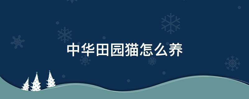 中华田园猫怎么养 一个月的中华田园猫怎么养