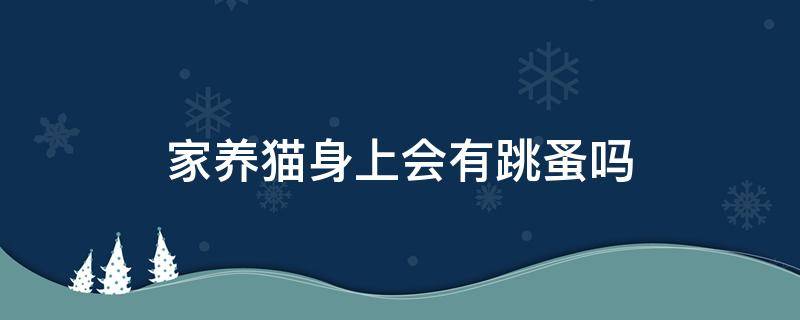 家养猫身上会有跳蚤吗 养猫身上有跳蚤怎么办