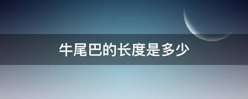 牛尾巴的长度是多少（牛尾巴有多少长）