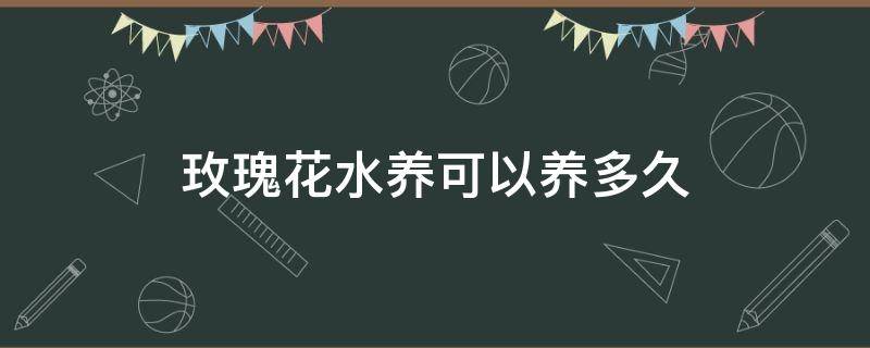 玫瑰花水养可以养多久（玫瑰花用水能养多久）