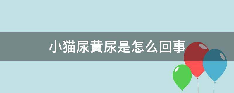 小猫尿黄尿是怎么回事（小猫尿黄的正常吗）