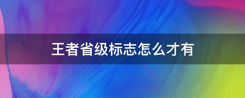 王者省级标志怎么才有（王者省级标志什么样子的）