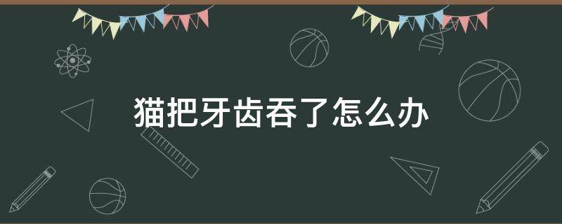 猫把牙齿吞了怎么办 猫咪换牙把牙齿吞了怎么办