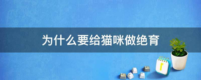 为什么要给猫咪做绝育 为什么要给猫咪做绝育?