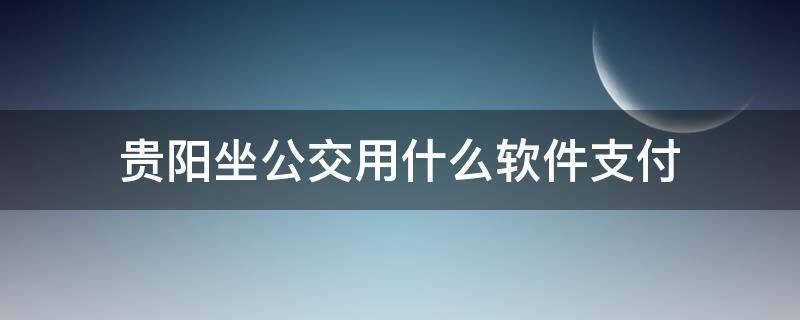 贵阳坐公交用什么软件支付（贵阳坐公交车用什么软件支付）