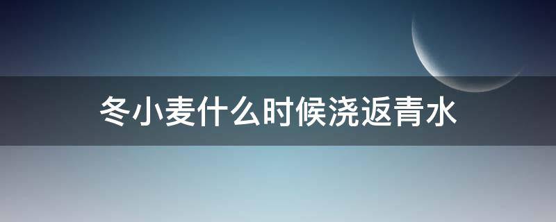 冬小麦什么时候浇返青水 冬小麦啥时候浇返青水