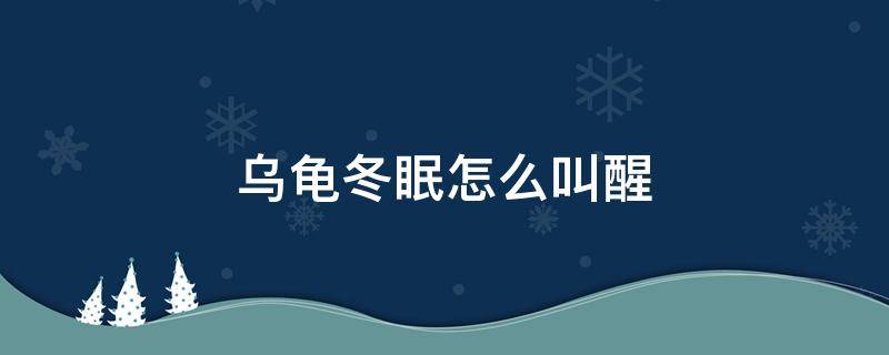 乌龟冬眠怎么叫醒（怎么叫醒冬眠的乌龟）