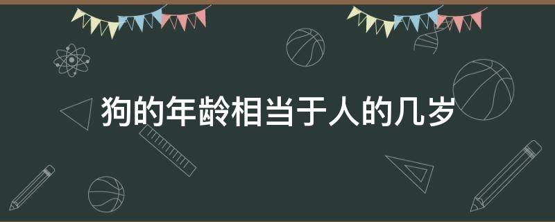 狗的年龄相当于人的几岁 狗狗年龄相当于人类多少岁