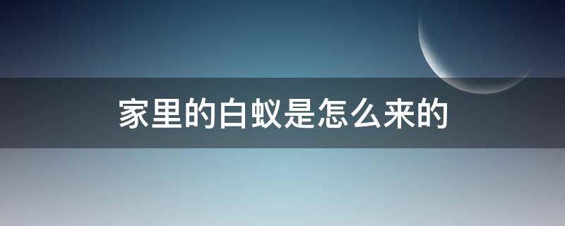 家里的白蚁是怎么来的（家里为什么会有白蚁是从哪里来的）