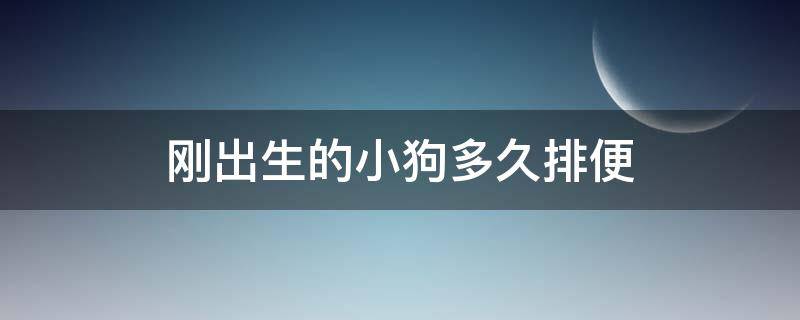 刚出生的小狗多久排便 小狗出生几天排便