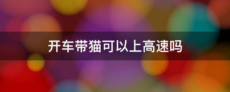 开车带猫可以上高速吗 私家车可以带猫上高速吗