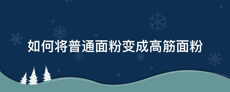 如何将普通面粉变成高筋面粉（怎么样变成高筋面粉）